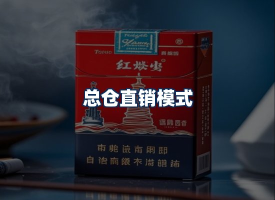 专业团队办公环境